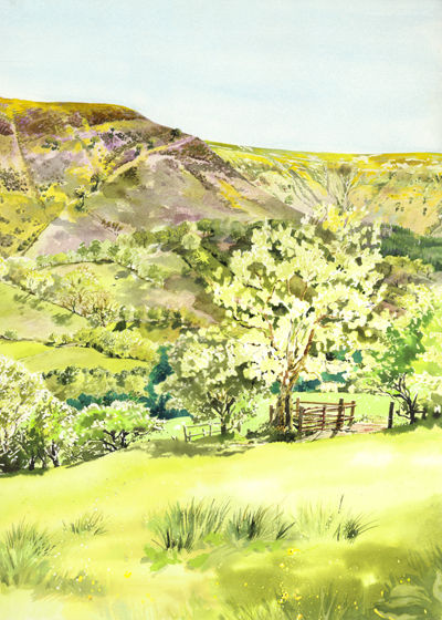 World Tree at Capel-y-Ffin Youth Hostel